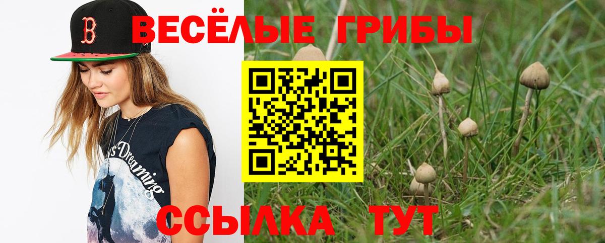 Галлюциногенные грибы Psilocybe  Галлюциногенные грибы мухоморы  Туапсе  Вход с VPN 