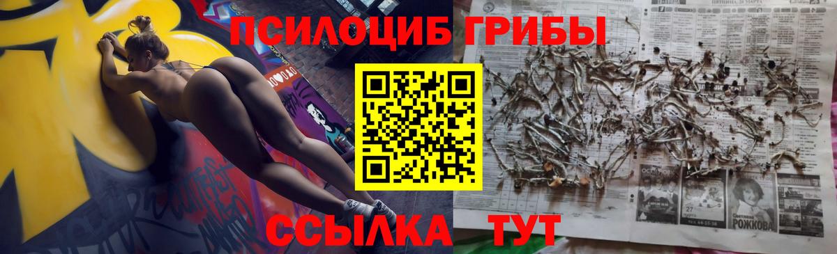 Псилоцибиновые грибы мицелий Туапсе